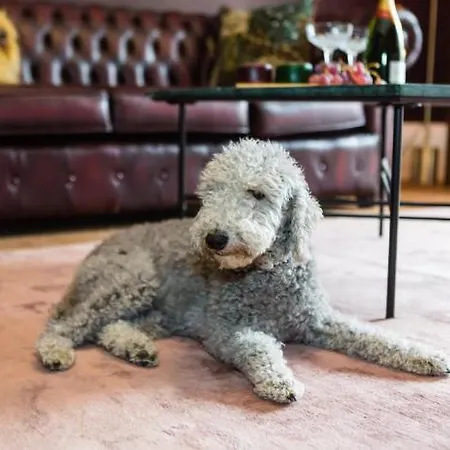 Skeldale House 'all Creatures Great & Small' Luxury & In Askrigg, Yorkshire Dales Hotel apartamentowy Askrigg